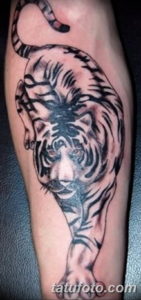 Фото красивые тату тигр 12.08.2019 №015 - beautiful tiger tattoos - tatufoto.com