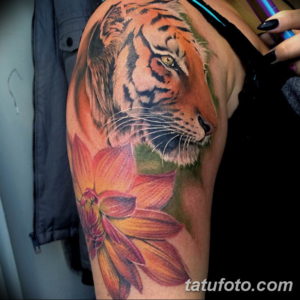 Фото красивые тату тигр 12.08.2019 №016 - beautiful tiger tattoos - tatufoto.com