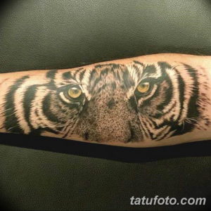 Фото красивые тату тигр 12.08.2019 №018 - beautiful tiger tattoos - tatufoto.com