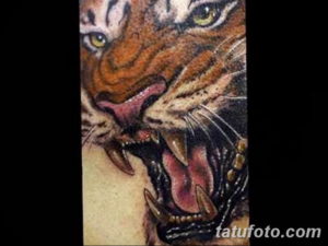 Фото красивые тату тигр 12.08.2019 №021 - beautiful tiger tattoos - tatufoto.com