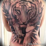 Фото красивые тату тигр 12.08.2019 №022 - beautiful tiger tattoos - tatufoto.com