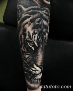 Фото красивые тату тигр 12.08.2019 №025 - beautiful tiger tattoos - tatufoto.com