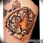 Фото красивые тату тигр 12.08.2019 №029 - beautiful tiger tattoos - tatufoto.com