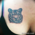 Фото красивые тату тигр 12.08.2019 №032 - beautiful tiger tattoos - tatufoto.com