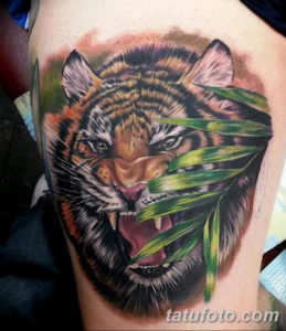 Фото красивые тату тигр 12.08.2019 №033 - beautiful tiger tattoos - tatufoto.com