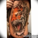 Фото красивые тату тигр 12.08.2019 №034 - beautiful tiger tattoos - tatufoto.com