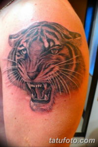 Фото красивые тату тигр 12.08.2019 №041 - beautiful tiger tattoos - tatufoto.com