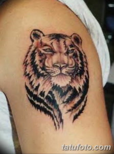 Фото красивые тату тигр 12.08.2019 №042 - beautiful tiger tattoos - tatufoto.com