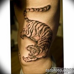 Фото красивые тату тигр 12.08.2019 №043 - beautiful tiger tattoos - tatufoto.com
