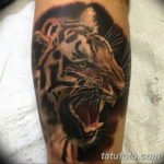 Фото красивые тату тигр 12.08.2019 №047 - beautiful tiger tattoos - tatufoto.com