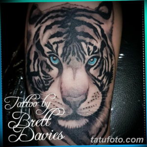 Фото красивые тату тигр 12.08.2019 №052 - beautiful tiger tattoos - tatufoto.com