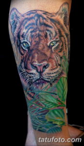 Фото красивые тату тигр 12.08.2019 №053 - beautiful tiger tattoos - tatufoto.com