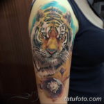 Фото красивые тату тигр 12.08.2019 №054 - beautiful tiger tattoos - tatufoto.com