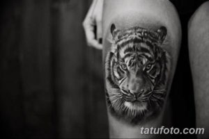 Фото красивые тату тигр 12.08.2019 №060 - beautiful tiger tattoos - tatufoto.com