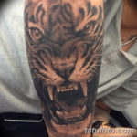 Фото красивые тату тигр 12.08.2019 №061 - beautiful tiger tattoos - tatufoto.com