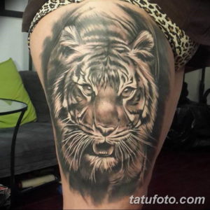 Фото красивые тату тигр 12.08.2019 №063 - beautiful tiger tattoos - tatufoto.com