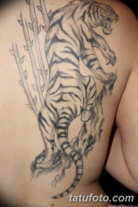Фото красивые тату тигр 12.08.2019 №068 - beautiful tiger tattoos - tatufoto.com