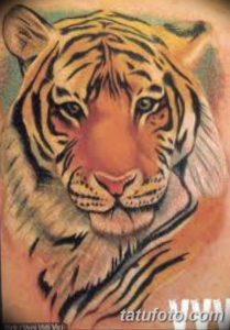Фото красивые тату тигр 12.08.2019 №071 - beautiful tiger tattoos - tatufoto.com