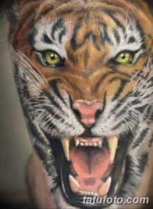 Фото красивые тату тигр 12.08.2019 №074 - beautiful tiger tattoos - tatufoto.com