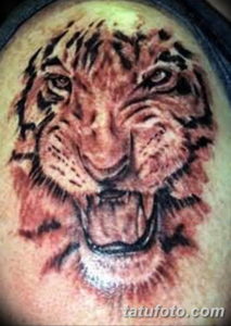 Фото красивые тату тигр 12.08.2019 №079 - beautiful tiger tattoos - tatufoto.com