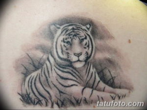 Фото красивые тату тигр 12.08.2019 №080 - beautiful tiger tattoos - tatufoto.com