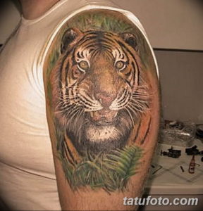 Фото красивые тату тигр 12.08.2019 №083 - beautiful tiger tattoos - tatufoto.com