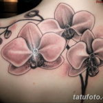 Фото красивые тату цветы 12.08.2019 №066 - beautiful tattoo flowers - tatufoto.com