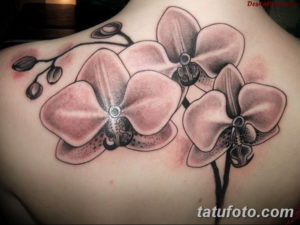 Фото красивые тату цветы 12.08.2019 №066 - beautiful tattoo flowers - tatufoto.com