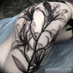 Фото красивые черные тату 12.08.2019 №070 - beautiful black tattoos - tatufoto.com