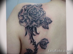 Фото красивые черные тату 12.08.2019 №079 - beautiful black tattoos - tatufoto.com