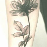 Фото красивые черные тату 12.08.2019 №098 - beautiful black tattoos - tatufoto.com