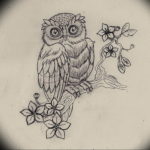 Фото маленькая сова тату эскиз 14.08.2019 №009 - little owl tattoo sketch - tatufoto.com