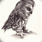 Фото маленькая сова тату эскиз 14.08.2019 №015 - little owl tattoo sketch - tatufoto.com