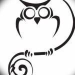 Фото маленькая сова тату эскиз 14.08.2019 №017 - little owl tattoo sketch - tatufoto.com