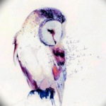 Фото маленькая сова тату эскиз 14.08.2019 №019 - little owl tattoo sketch - tatufoto.com