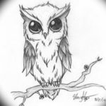 Фото маленькая сова тату эскиз 14.08.2019 №022 - little owl tattoo sketch - tatufoto.com