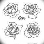 Фото эскиз маленькой розы тату 14.08.2019 №015 - sketch of a small rose tat - tatufoto.com