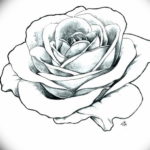 Фото эскиз маленькой розы тату 14.08.2019 №031 - sketch of a small rose tat - tatufoto.com