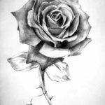 Фото эскиз маленькой розы тату 14.08.2019 №052 - sketch of a small rose tat - tatufoto.com