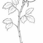 Фото эскиз маленькой розы тату 14.08.2019 №065 - sketch of a small rose tat - tatufoto.com