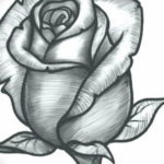 Фото эскиз маленькой розы тату 14.08.2019 №067 - sketch of a small rose tat - tatufoto.com