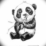 Фото эскиз тату панда маленькая 14.08.2019 №012 - sketch panda tattoo sm - tatufoto.com