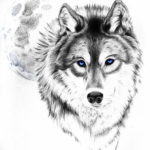 Фото эскизы волка тату маленькие 14.08.2019 №012 - sketches of a wolf tatt - tatufoto.com