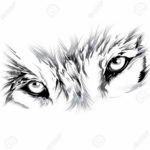 Фото эскизы волка тату маленькие 14.08.2019 №022 - sketches of a wolf tatt - tatufoto.com