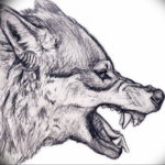 Фото эскизы волка тату маленькие 14.08.2019 №044 - sketches of a wolf tatt - tatufoto.com