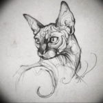 Эскиз тату Сфинкс 20.08.2019 №044 - sphinx tattoo sketch - tatufoto.com