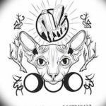 Эскиз тату Сфинкс 20.08.2019 №064 - sphinx tattoo sketch - tatufoto.com