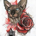 Эскиз тату Сфинкс 20.08.2019 №115 - sphinx tattoo sketch - tatufoto.com