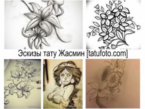 Коллаж из эскизов татуировок с изображением цветка жасмина в различных стилях и композициях. Черно-белые рисунки для вдохновения.