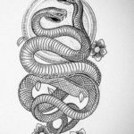 змея тату эскиз маленькая 14.08.2019 №010 - sketches small tattoo - tatufoto.com